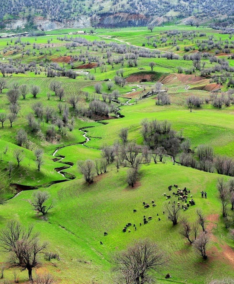  طبیعت سرسبز مخمل‌کوه لرستان + عکس