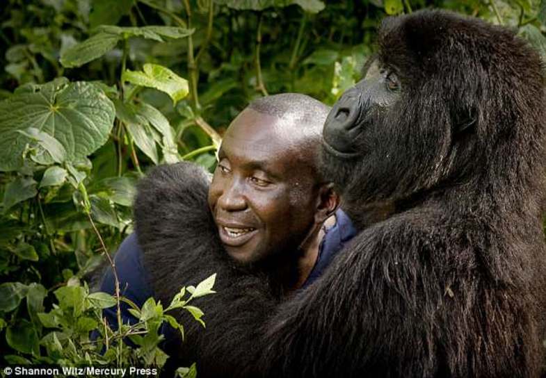 به گزارش یاهو، «اندر» یکی از رنجر‌های پارک ملی کنگو است و سال‌هاست که از...