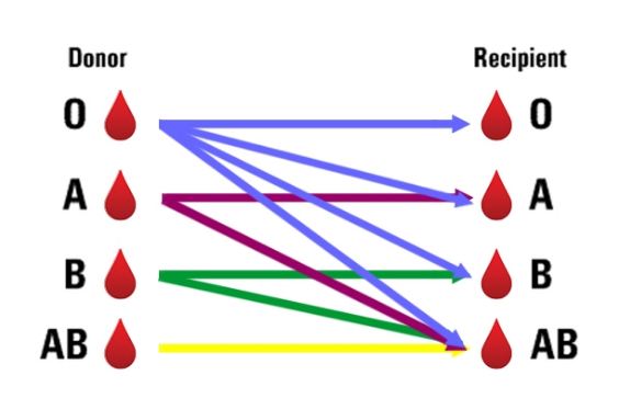تبدیل گروه‌های خونی به همدیگر 