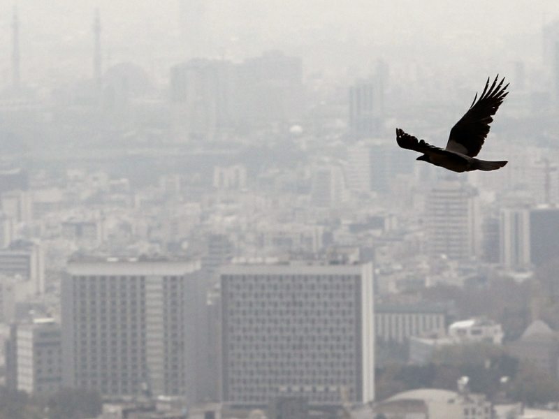 مضرات خطرناک آلودگی هوا بر سلامتی انسان/ راه های کاهش مضرات 