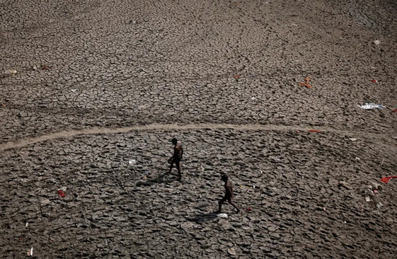 خشکسالی و گرمای کم سابقه در هند + عکس - تلگرام آپ