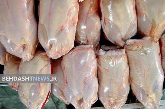  مرغ‌هایی با وزن بالاتر از ۲ کیلو را نخرید و نخورید 