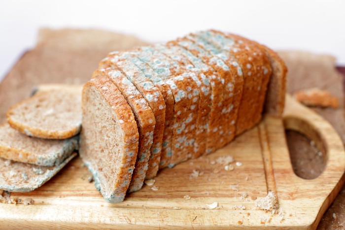 چگونه از کپک زدن مواد غذایی جلوگیری کنیم؟