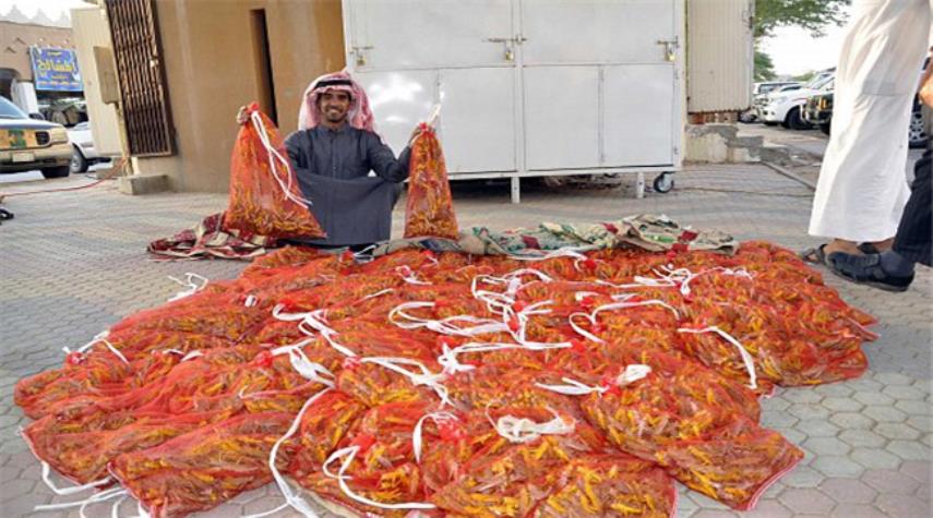 رونق بازار ملخ در سرزمین آل سعود+عکس