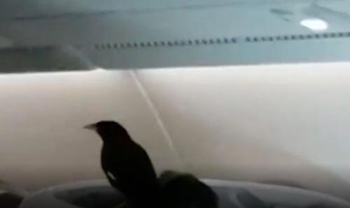 پرنده‌ باکلاس مسافر ویژه لندن به سنگاپور! + تصاویر