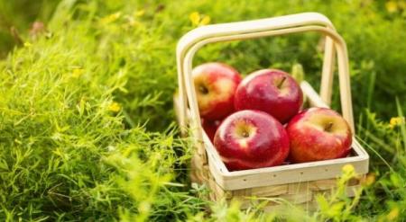  ۵ چیزی که به اشتباه تصور می‌کنید ایمنی‌تان را تقویت می‌کنند