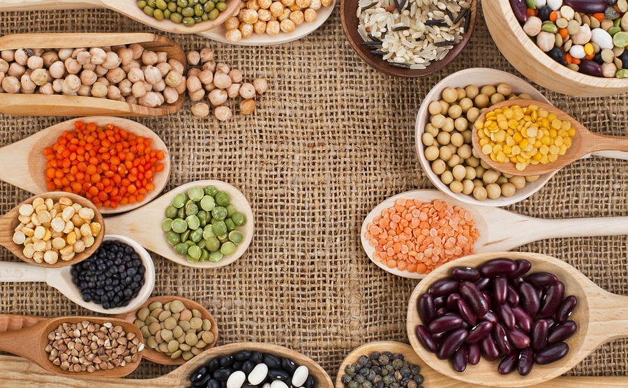 مصرف پروتئین گیاهی راهکار مبارزه با گرسنگی