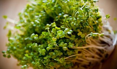  خوراکی های زمستانی برای سم زدایی بدن
