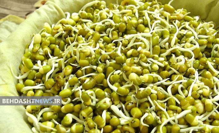  زیبایی و جوانسازی پوست با استفاده از جوانه‌ها