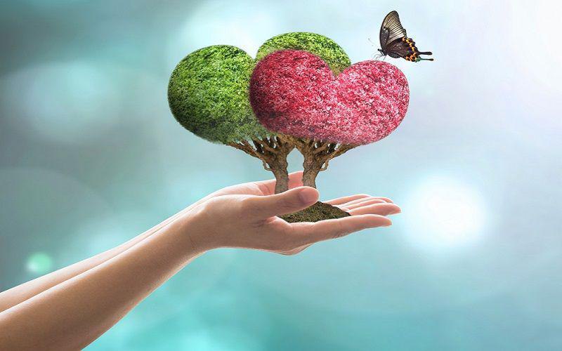  تنها بهره شما از دارایی تان از زبان امیرالمومنین(ع) 