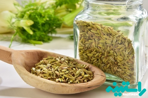 این خانم ها رازیانه مصرف نکنند 
