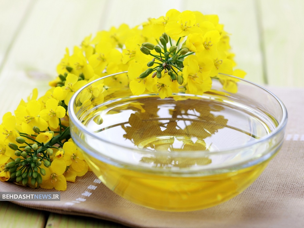 همه چیز درباره روغن کانولا