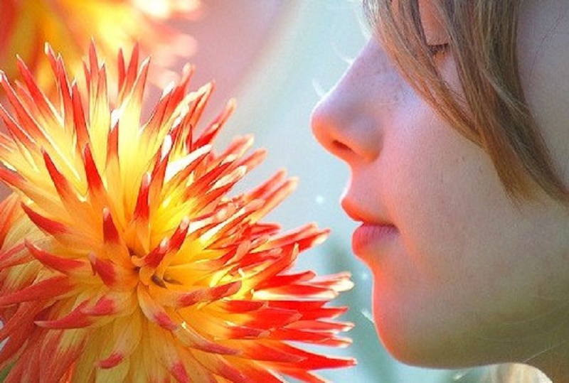 قدرت بی نظیر عطر گلها در بهبود سلامت جسم و روح
