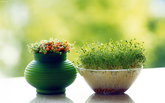  این کارهای شب عیدی را قبل از اسفند انجام دهید 