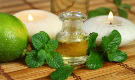 چگونه در خانه عرق نعنا درست کنیم؟ 