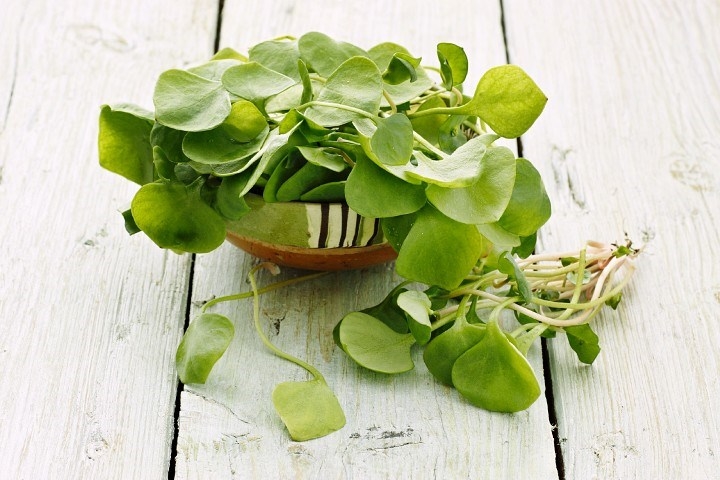خواص بی نظیر خرفه سبزیِ محبوب حضرت فاطمه زهرا(س)