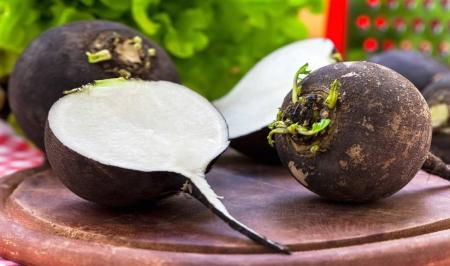 سنگ های صفراوی را با مصرف ترب سیاه رفع کنید