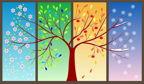 آیا مزاج تان را می شناسید؟ 