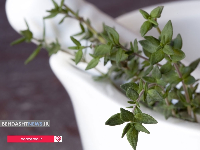 خواص شگفت انگیز درمانی گیاه آویشن