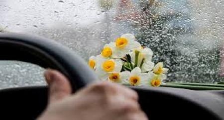 این گل را در خانه نگه دارید چون  به سلول‌های سرطانی حمله می‌کند