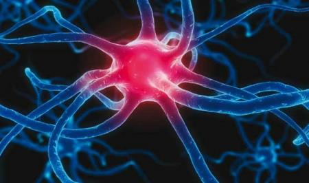 احتمال درمان آسیب‌های نخاعی