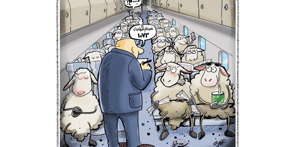 ماجرای گم شدن گوسفندهای وارداتی! + عکس