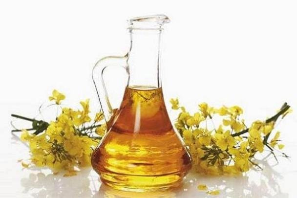 یافته های جدید تحقیقاتی؛فایده روغن کانولا در کاهش کلسترول و قندخون