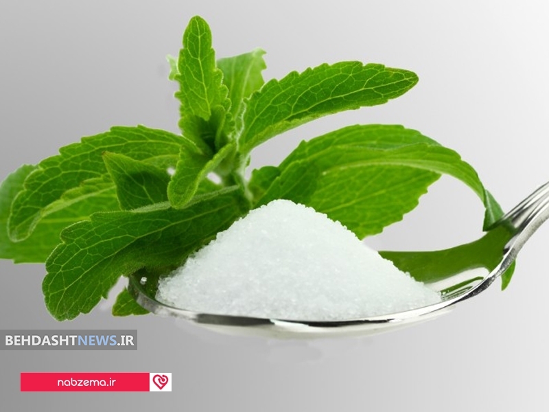 گیاه استویا یک ماده غذایی با خواص باورنکردنی+نحوه‌ی تهیه