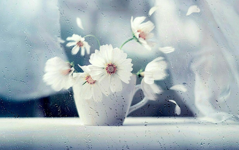 توصیه آیت الله خوشوقت برای رفع مشکلات