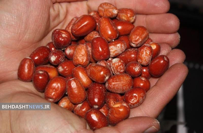 خاصیت دارویی سنجد برای درمان آرتروز