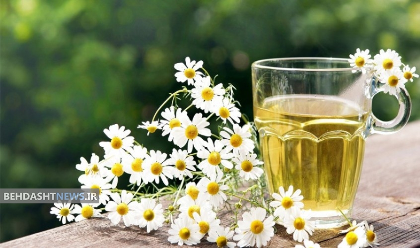 گیاه تقویت کننده قوای جنسی و مغز و اعصاب