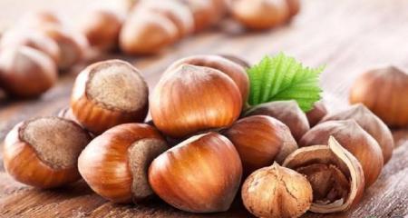  فواید درمانی بی نظیر فندق
