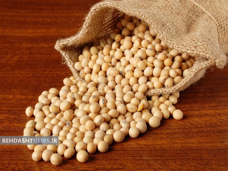 از خواص لوبیا سویا چه می دانید؟