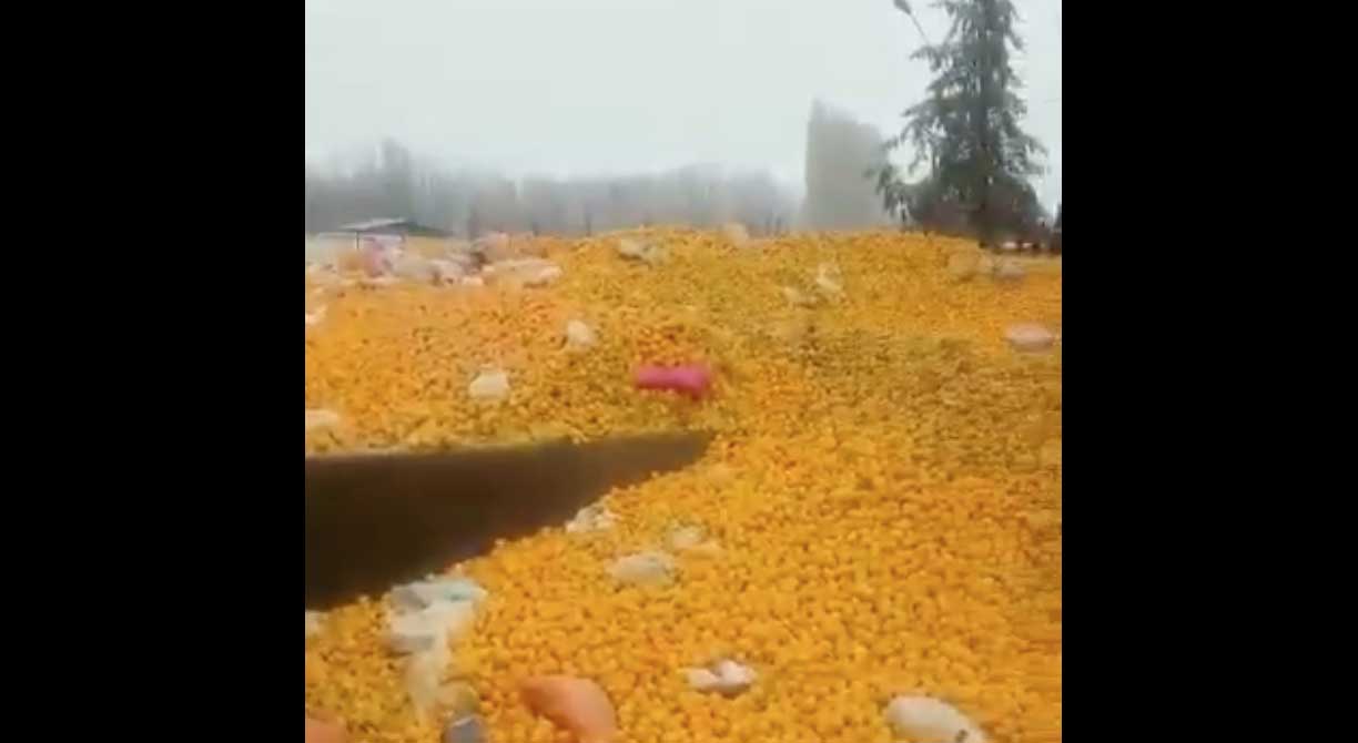 تصاویری عجیب از تولید آب پرتقال طبیعی و بهداشتی در مشهد! +فیلم