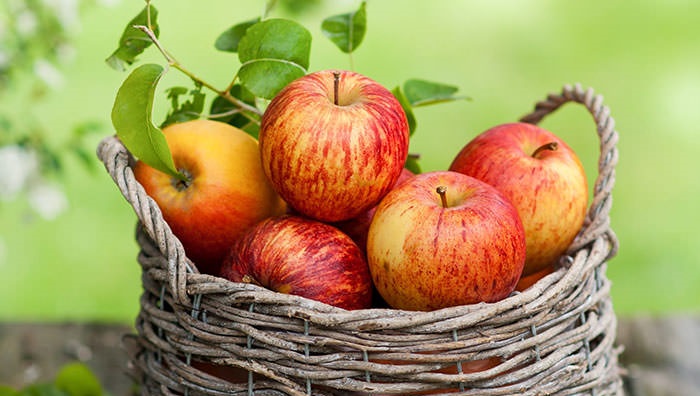 خوردن این میوه غم هایتان را نابود و وسواس را از بین می برد 