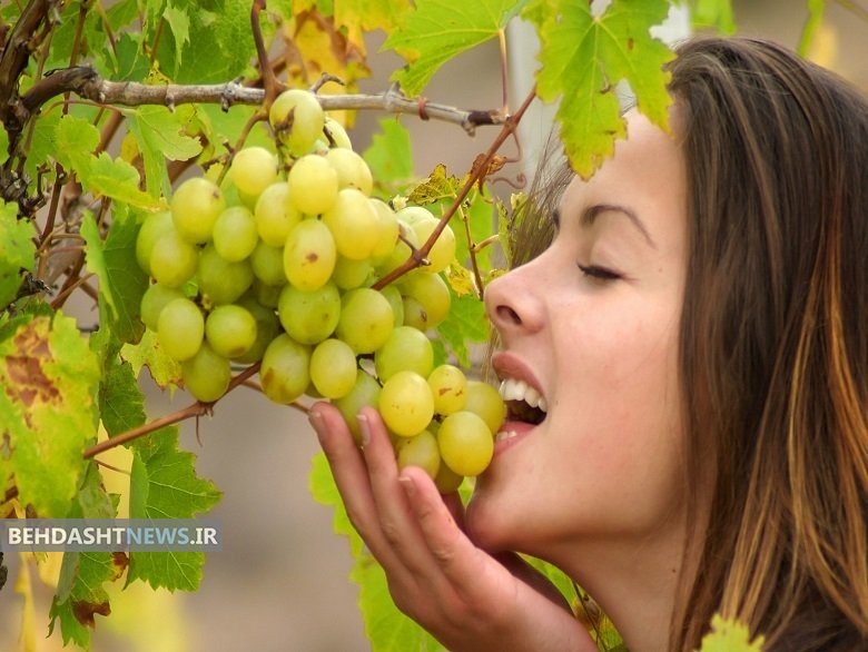 کلیه هایتان را با این روش های ساده سم زدایی کنید 