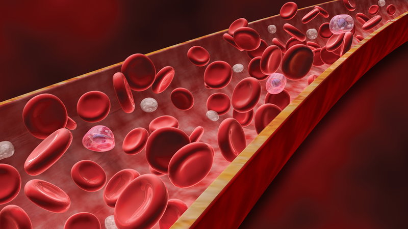 ارزیابی عملکرد پلاکت خون تنها در ۲ دقیقه