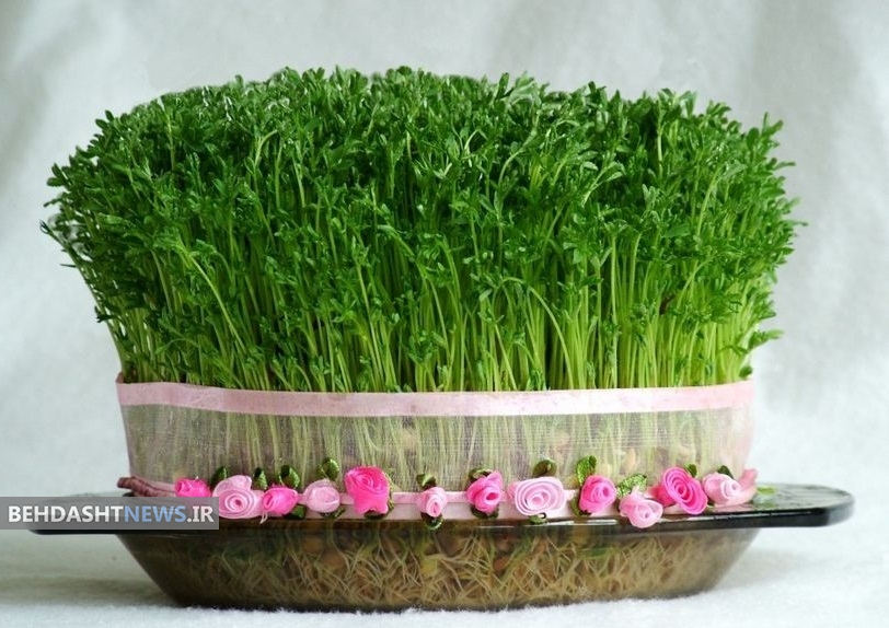 خواص شگفت‌انگیز دارویی و درمانی سبزه نوروز!