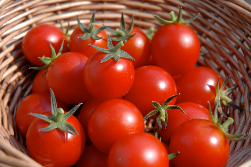 مصرف گوجه فرنگی برای تقویت سلامت کبد