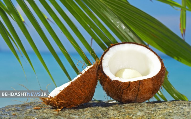 نارگیل وخصوصیات خوب و بد آن