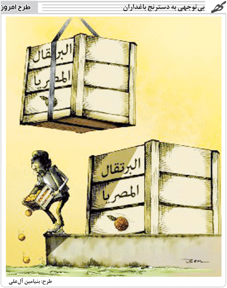 کاریکاتور/ پرتقال مصری و بی توجهی به باغداران ایرانی!