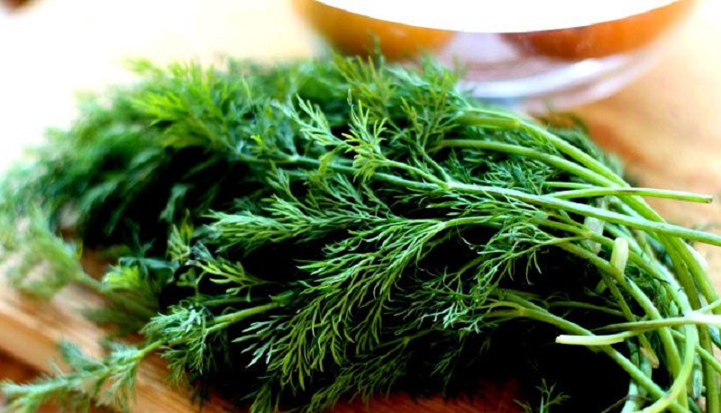 این سبزی سرشار از ویتامین و مواد معدنی 