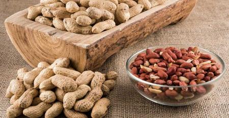  تاثیر مصرف بادام زمینی در تقویت عملکرد شناختی مغز