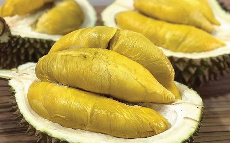  خواص میوه دوریان، این شاه میوه بدبو را فراموش نکنید