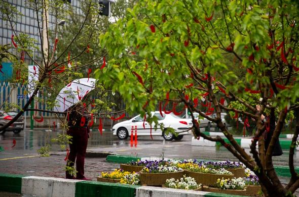  کاهش ۴ تا ۸ درجه‌ای دما در شمال شرق کشور 