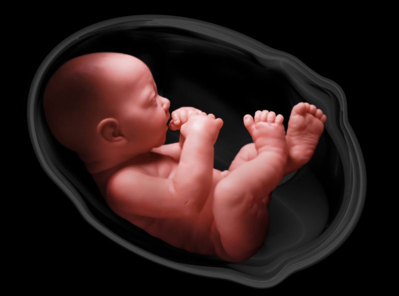 کدام گیاهان دارویی برای سلامت جنین خطرناک هستند؟