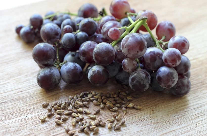  عصاره دانه انگور موجب بهبود سندروم متابولیک می شود