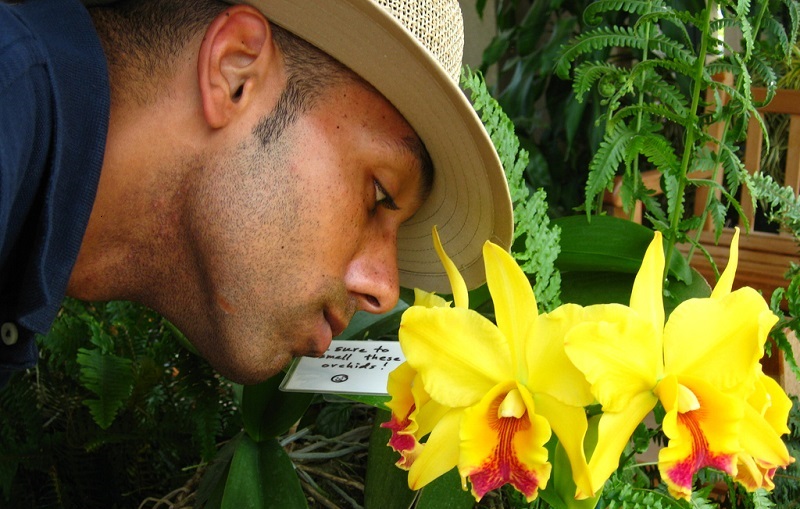  ترک سیگار با رایحه خوش