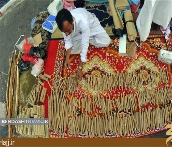 درخت اراک (درخت مسواک)