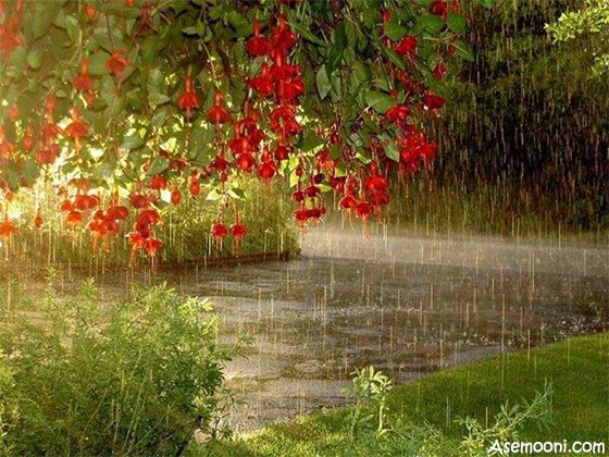هواشناسی آخرین هفته اسفند 